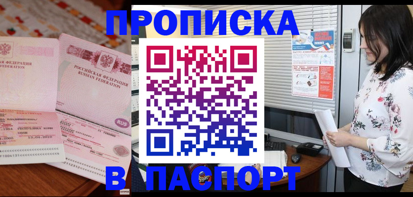 прописка гарантия в Ельне