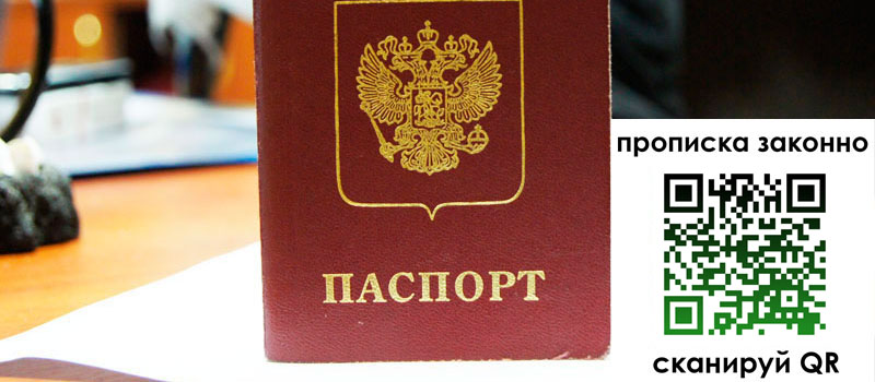 прописка в Ельне